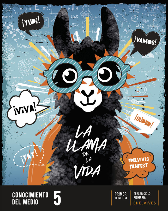 CONOCIMIENTO MEDIO 5ºEP 22 FANFEST