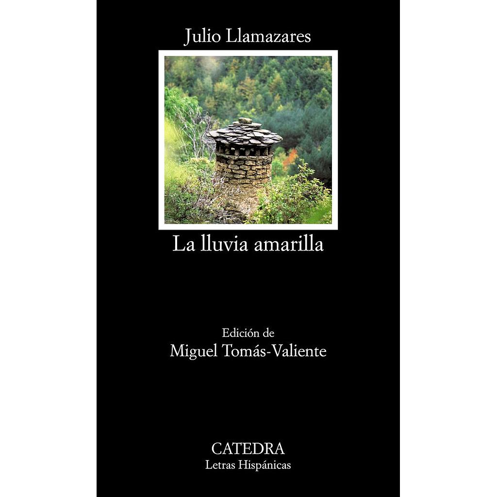 LA LLUVIA AMARILLA