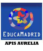 APIS AURELIA