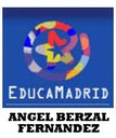 ANGEL BERZAL FERNANDEZ