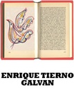 ENRIQUE TIERNO GALVAN