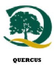 QUERCUS