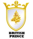 BRITISH PRINCE SCHOOL (BRITANICO)