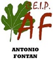 ANTONIO FONTAN