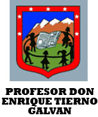 PROFESOR DON ENRIQUE TIERNO GALVAN