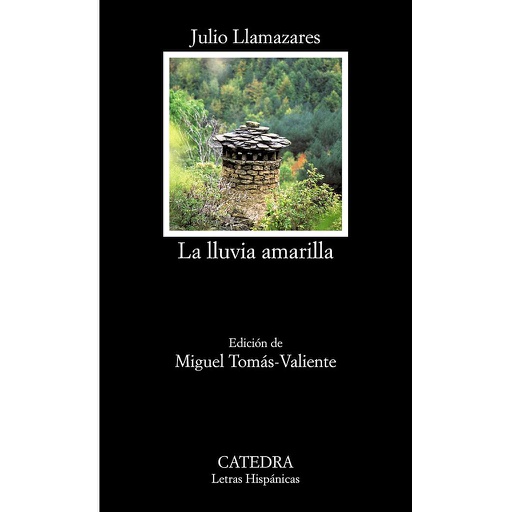 [9788437635972] LA LLUVIA AMARILLA