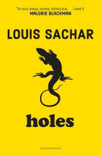 [9781408865231] HOLES